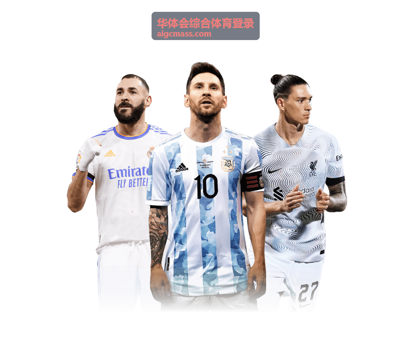 华体会综合体育登录体育运动专区现场图片